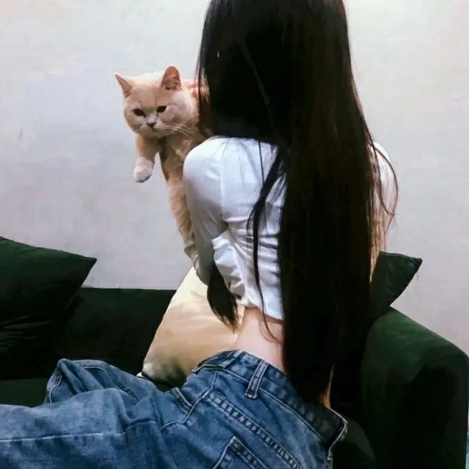 茉迪的彩色小屋