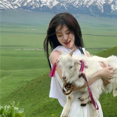 超人总动员